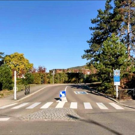 L'Appar'T - Centre Historique De Obernai Lägenhet Exteriör bild