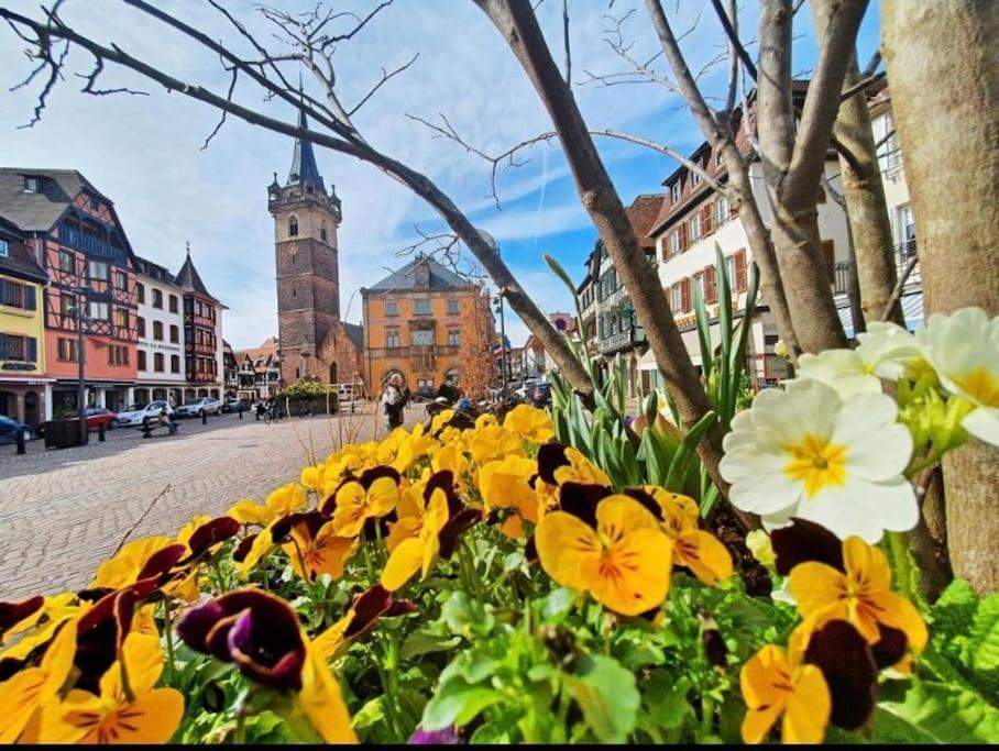 L'Appar'T - Centre Historique De Obernai Lägenhet Exteriör bild
