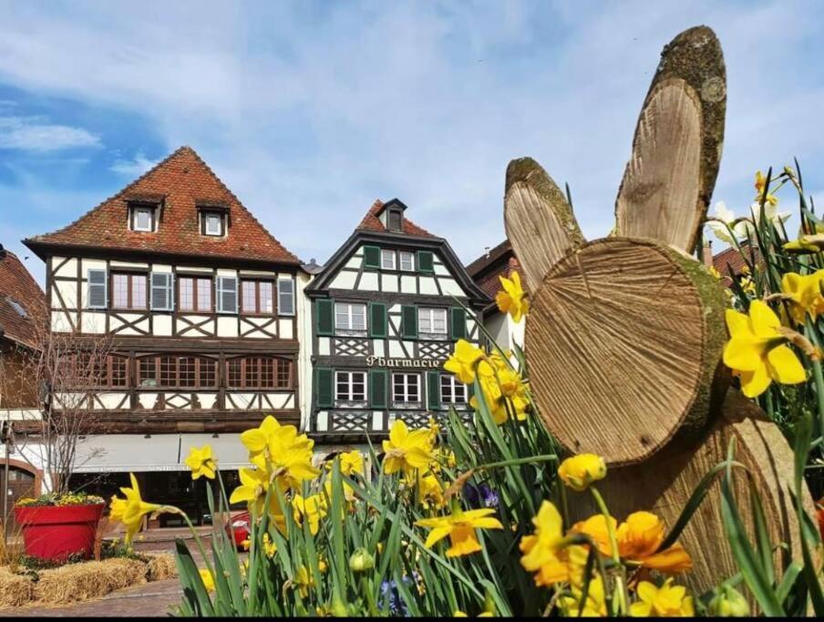 L'Appar'T - Centre Historique De Obernai Lägenhet Exteriör bild