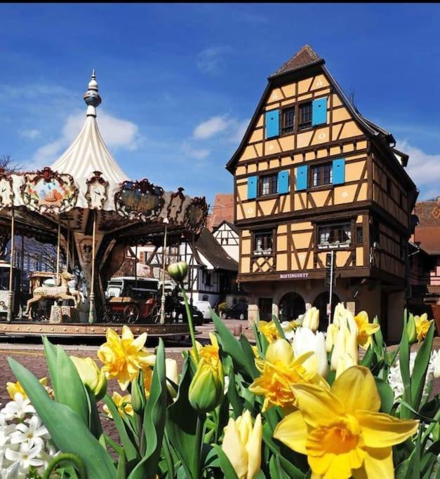 L'Appar'T - Centre Historique De Obernai Lägenhet Exteriör bild