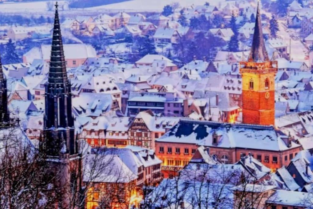 L'Appar'T - Centre Historique De Obernai Lägenhet Exteriör bild