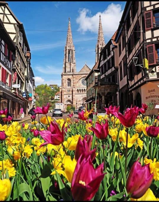 L'Appar'T - Centre Historique De Obernai Lägenhet Exteriör bild